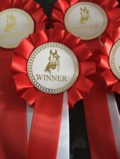 Horse head winner rosettes - horse, set