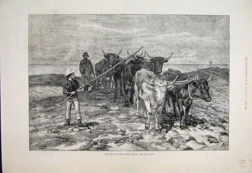 Original old antique - original, print
