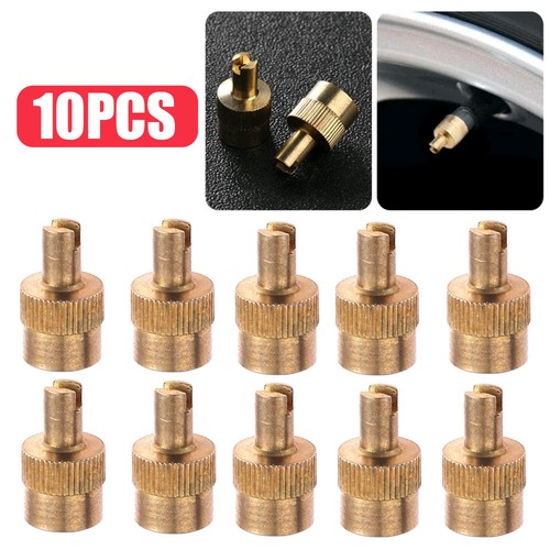 10pcs slotted head valve stem - 10pcs,