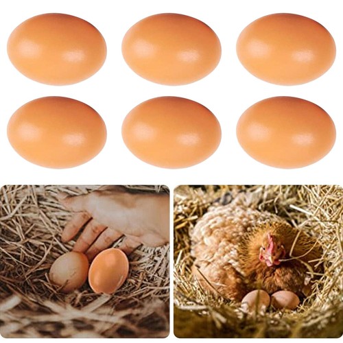 Fake wooden chicken - wooden, eggs