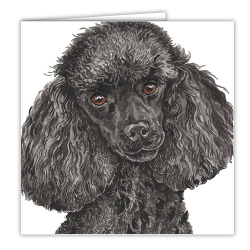 Miniature poodle greetings - miniature,