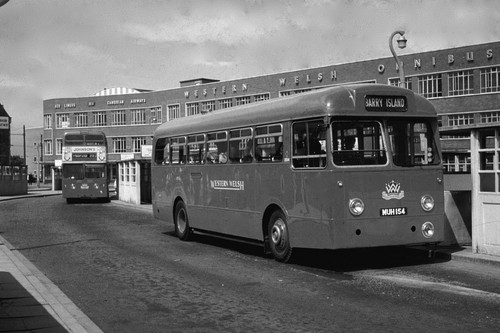 Western welsh 1154 muh154 - western,