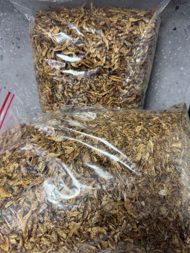 2kg oron crayfish fresh - oron,