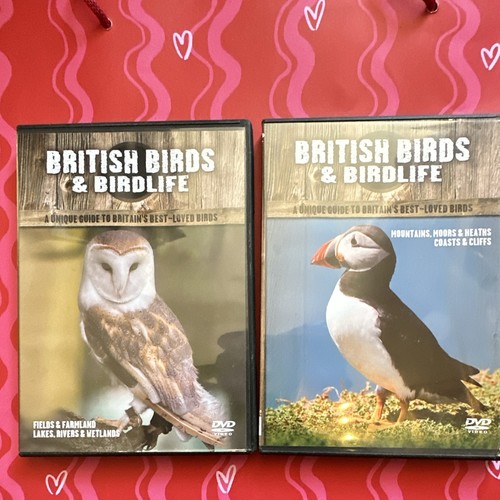 British birds birdlife dvd - birds,