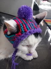 Hand Knitted Cat,s  Hat