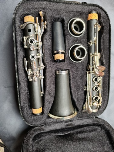 Eastar flat clarinet starter - b,