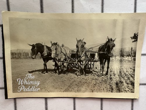Vintage farm work photo - farm,