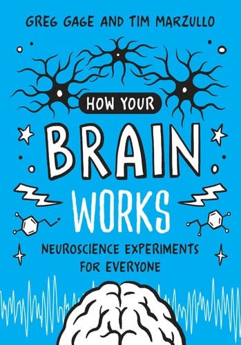 How your brain works - how,