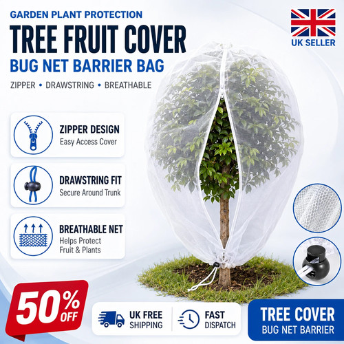 Garden plant tree - plant,