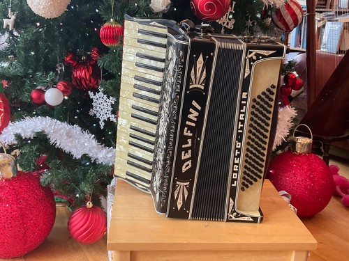 Delfini vintage accordion - vintage,