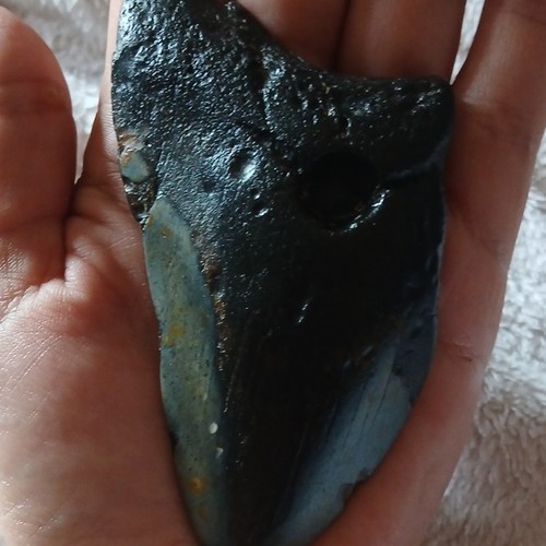 Natural unpolished fossils - natural,