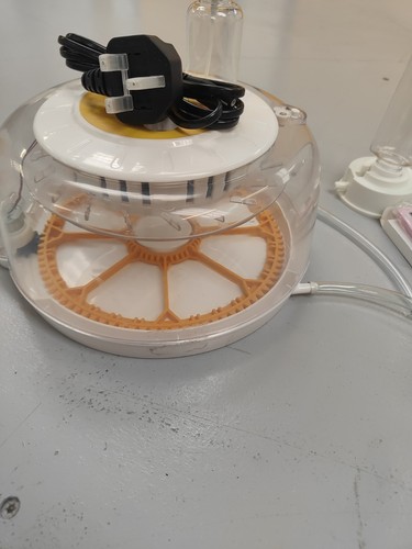 Egg incubator with - 18-20,