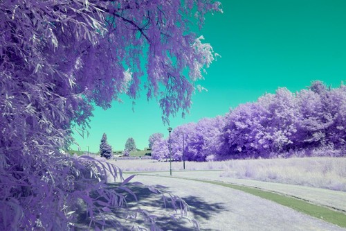 470nm infrared filter 52mm - ,