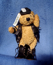 Motor teddy fully - motor, 8½"