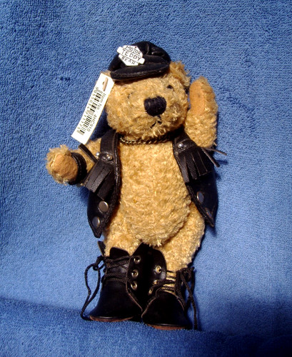Motor teddy fully - motor, ~