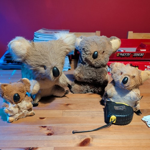 Musical wind koala - wind, up