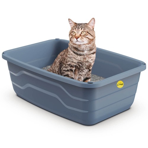 Large cat litter - large, tray