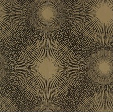 112072 Perlite Anthology 06