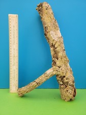 CORK BARK BRANCH 38CM SNAKE