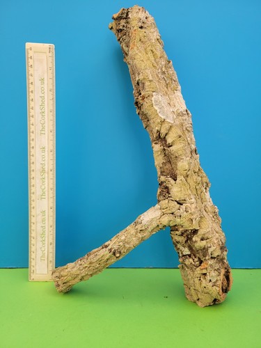 Cork bark branch 38cm snake - bark,