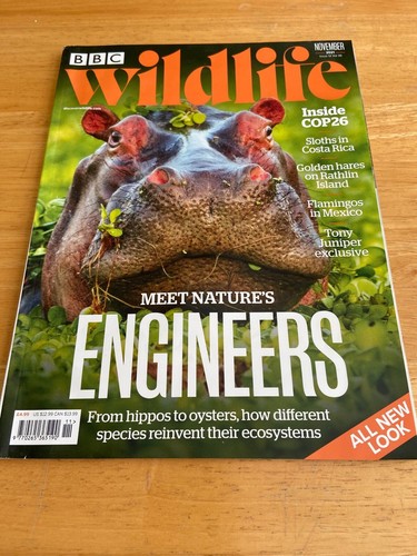 Bbc wildlife magazine november - bbc,