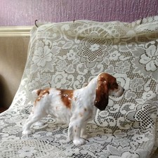  ROYAL DOULTON COCKER SPANIEL HN 1002 LARGE SIZE - height 7 ins