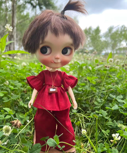 Blythe doll clothes handmade - doll,