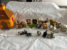 Jungle/puppy/kitty in my