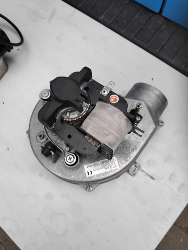 Glow worm betacom combi - worm,