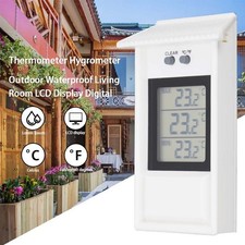 Digital Thermometer Display