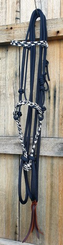 Loping hackamore with - hackamore, plaited