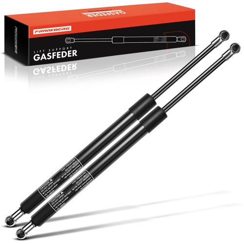 Frankberg gas spring - 2x,