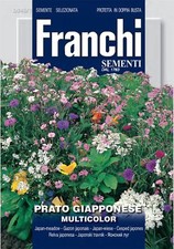 Franchi - FDBF_ 346-1 -