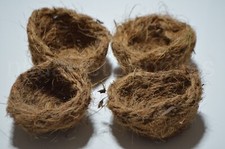Bird Nests preformed x 4 FOR