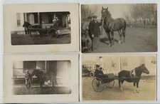 Postcards shetland pony - 5,