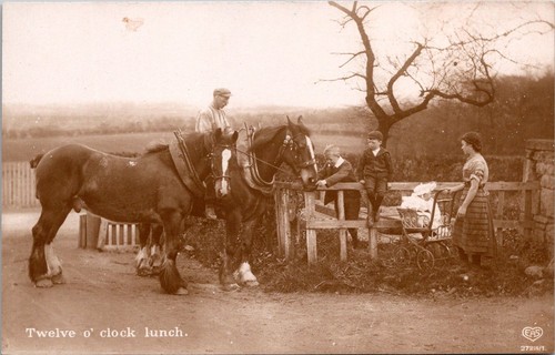 Farmer harnessed draft - farmer, on