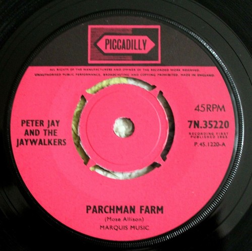 Peter jay jaywalkers parchman - jaywalkers,