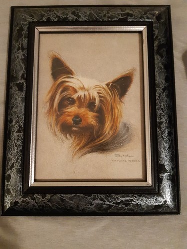 Joel kirk print - of, yorkie