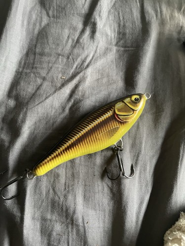 Rapala twitchin rap 12cm 53g - rap,