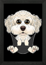Bichon Frise Puppy Pocket