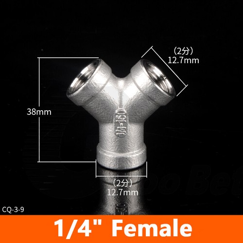 Bsp female male - female,