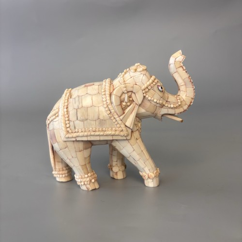 Tessellated bone elephant - tessellated,