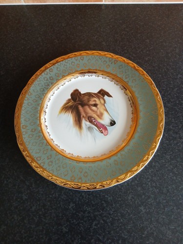 Rough collie decorative - collie,