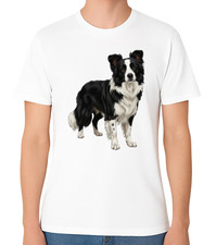 Border Collie Dog Standing