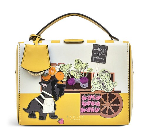 Radley multicoloured picture - multicoloured,