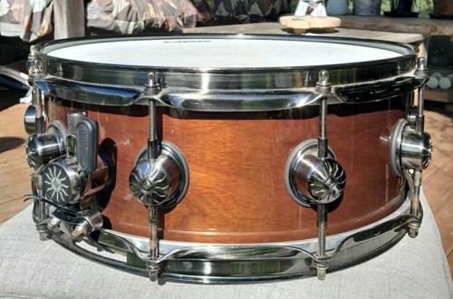 Natal walnut snare - 14, x