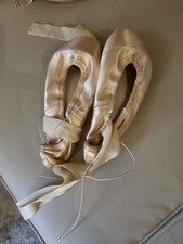 Gaynor Minden Pointe Shoes