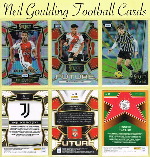 Panini select soccer fifa - select,
