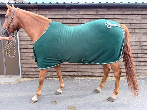 Horse show rug fleece - horse,
