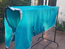 Equi-theme Polar Summer Sheet